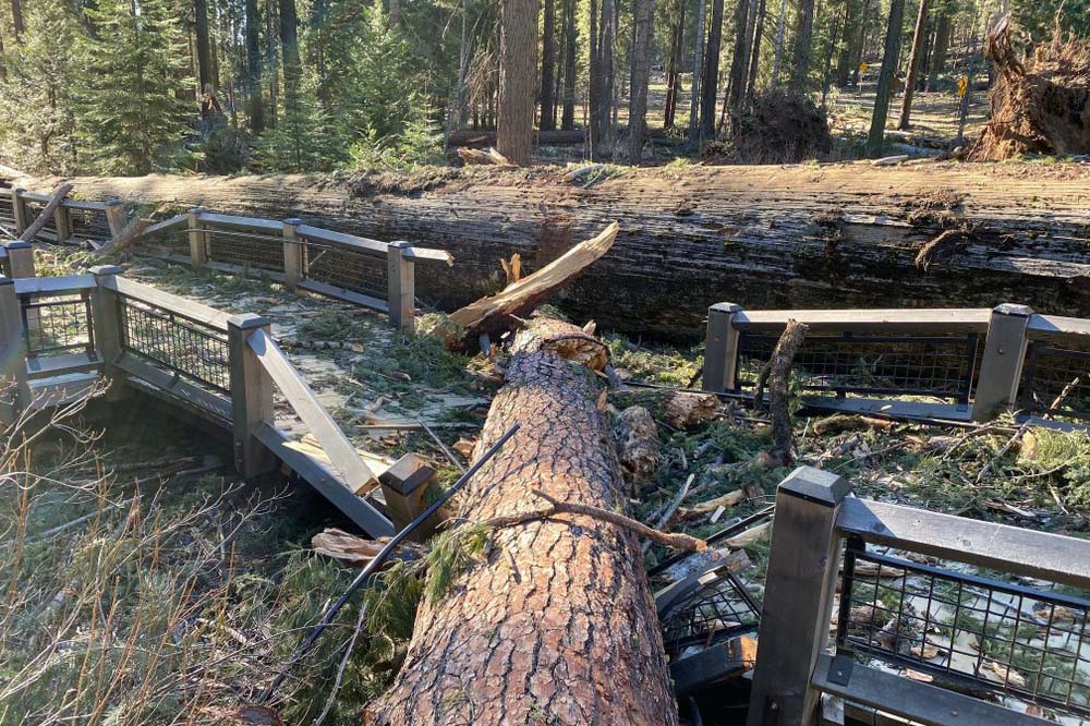 Yosemite National Park to remain closed after wind damage